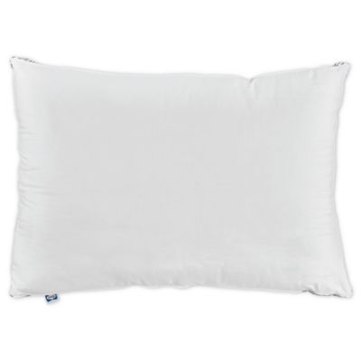 firm back support pillow