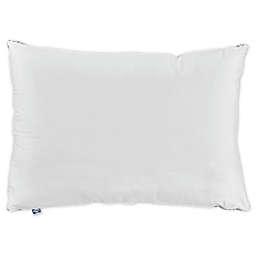 Sealy® Firm Support Back/Side Sleeper Cotton Standard/Queen Bed Pillow