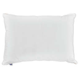 Sealy® Cotton Medium Support Back/Stomach Sleeper King Bed Pillow