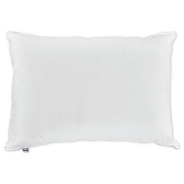 Sealy Embody Pillow Bed Bath Beyond