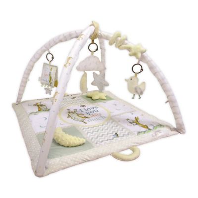 buy buy baby activity gym