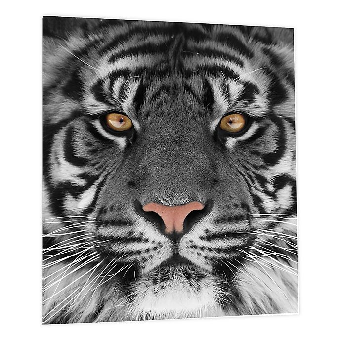 Eye Of The Tiger 40 Inch X 60 Tempered Glass Wall Art Bed Bath Beyond - Tempered Glass Wall Art Black And White