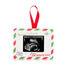 Alternate image 0 for Pearhead&reg; Sonogram Ornament