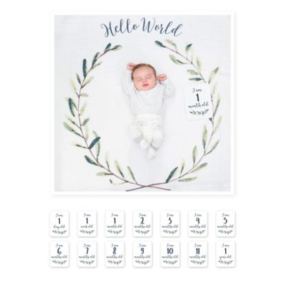 hello world swaddle