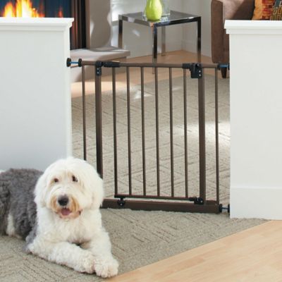 pet dog gate