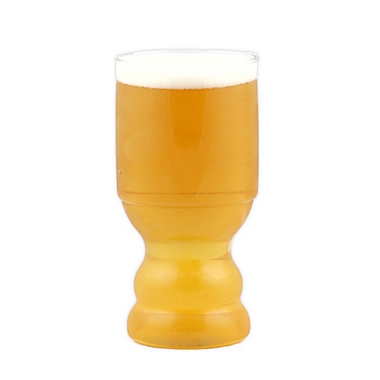 Fermented Reality 17 oz. Plastic Lager Outdoor Cups (Set of 4). View a larger version of this product image.