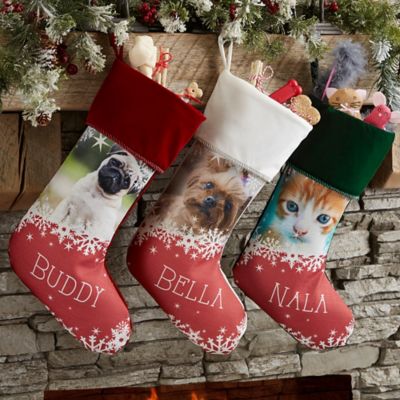 Snowflake Pet Personalized Christmas Photo Stocking in Green