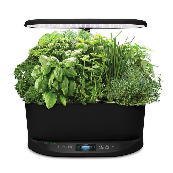 Aerogarden Bounty Basic In Black Bed Bath Beyond