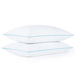 Linenspa Signature Collection™ Shredded Memory Foam Queen Bed Pillows (Set of 2)
