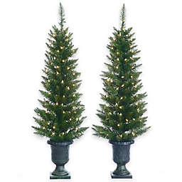 4-Foot Artificial Cedar Pine Potted Pre-Lit Trees (Set of 2)