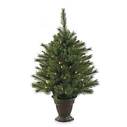 Vickerman 3-1/2-Foot Pre-Lit Cashmere Pine Tree with Battery Operated Timer