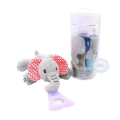 bed bath and beyond teething egg