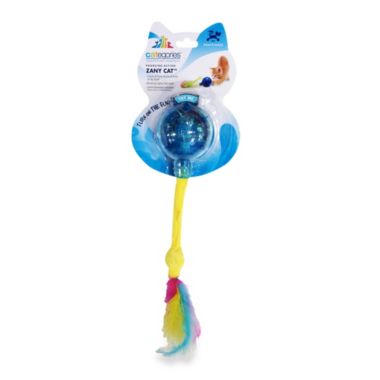 zany cat toy
