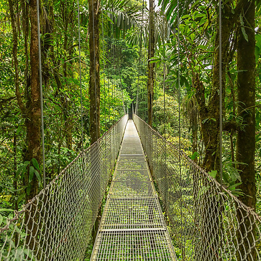 Alternate image 1 for Walk on Arenal Hanging Bridges in Costa Rica by Spur Experiences®