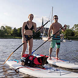 SUP Rental by Spur Experiences® (Annapolis, MD)