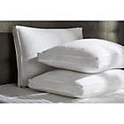 Alternate image 1 for Wamsutta&reg; Medium Density Support Stomach Sleeper Bed Pillow