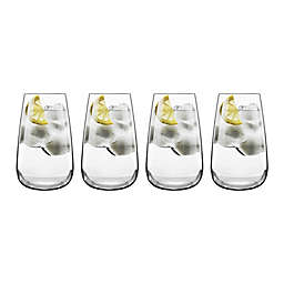 Luigi Bormioli Talismano Beverage Glasses (Set of 4)