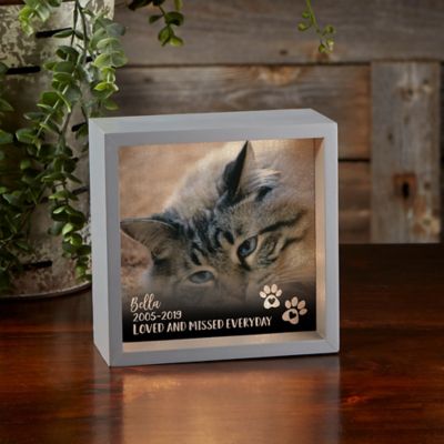 Pet Photo Memorial Personalized 6-Inch Square LED Shadow Box in Grey