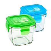 Wean Green&reg; 2-Pack 4 oz. Wean Cube in Blue/Green
