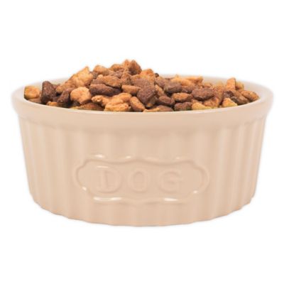 ceramic dog food storage