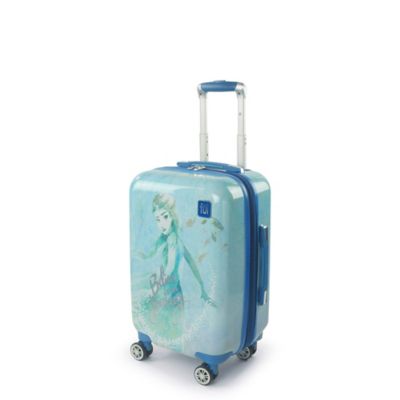 luggage frozen