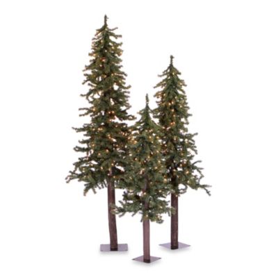 Vickerman Natural Alpine Pre-Lit Christmas Trees with Clear Lights (Set of 3)