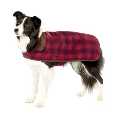 pendleton dog sweater