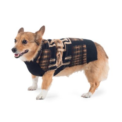 pendleton wool dog coat