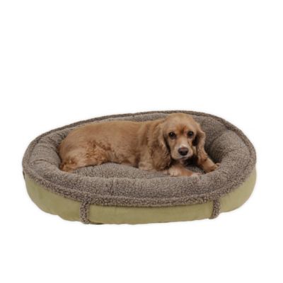 pawslife pet cot