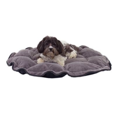 bed bath beyond dog bed