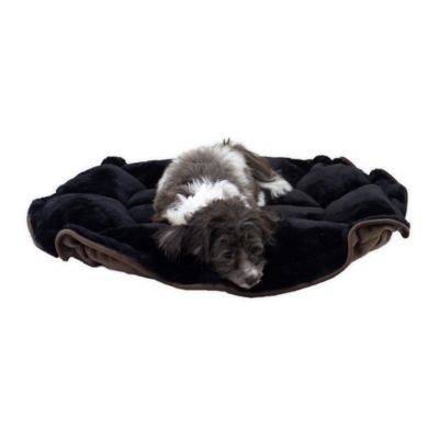 bed bath beyond dog bed