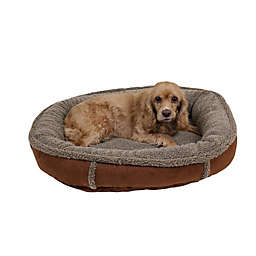Carolina Pet Round Orthopedic Comfy Cup Small Pet Bed in Chocolate