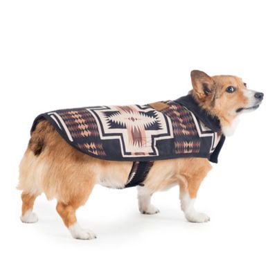 pendleton wool dog coat