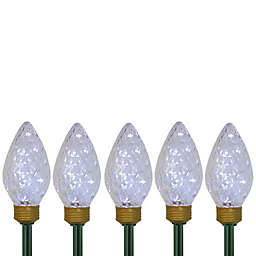 Northlight Jumbo C9 Bulb Lit Pathway Marker Clear Lawn Stakes (Set of 5)