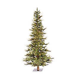 Vickerman 5-Foot Ashland Fir Christmas Tree with Clear Lights