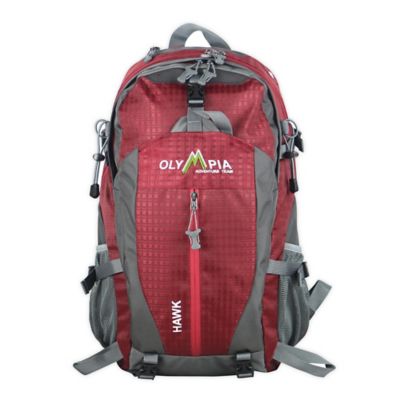 hawk backpack with laptop compartment