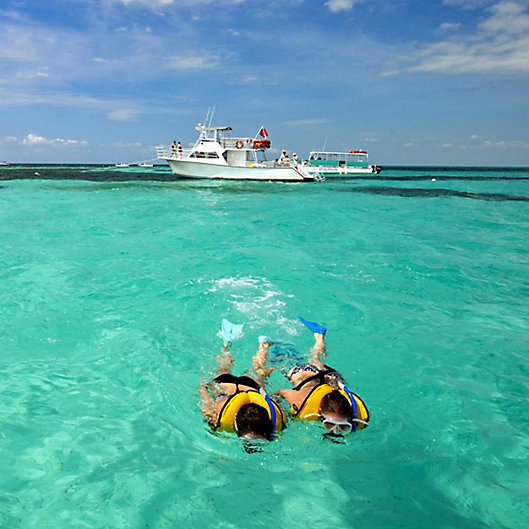 Alternate image 1 for Key West Tour And Snorkeling Trip by Spur Experiences® (Miami, FL)