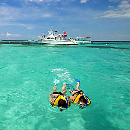 Key West Tour And Snorkeling Trip by Spur Experiences® (Miami, FL)