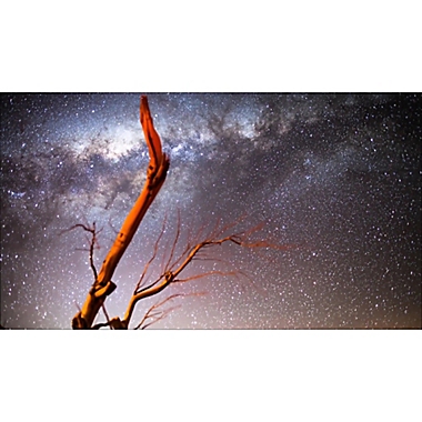 Chile: Atacama Desert Stargazing Tour by Spur Experiences&reg;. View a larger version of this product image.