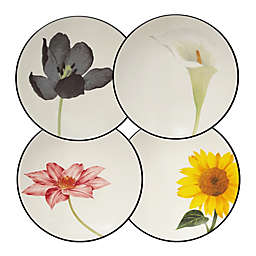 Noritake® Colorwave Floral Appetizer Plates in Graphite (Set of 4)