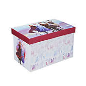 The FHE Group Inc. Frozen II 24-Inch Folding Storage Bench with Play Tray