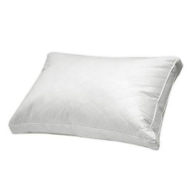 Kathy Ireland Worldwide Kathy Ireland E4152 Silver Decorative Pillow by Nourison 12 X 12 