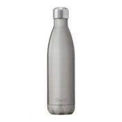 S'well&trade; Silver Lining 25 oz. Water Bottle in Silver