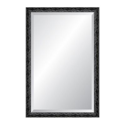 Reveal Frame &amp; D&eacute;cor Ancestral Silver 27-Inch x 33-Inch Wall Mirror in Black