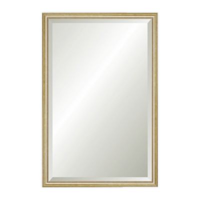Reveal Frame & Décor Delicate Gold Leaf 17.5-Inch x 26.5-Inch Beveled Wall Mirror