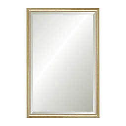 Reveal Frame & Décor Delicate Gold Leaf 17.5-Inch x 26.5-Inch Beveled Wall Mirror