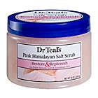 Alternate image 0 for Dr Teal&#39;s Restore &amp; Replenish 16 oz. Pink Himalayan Salt Scrub