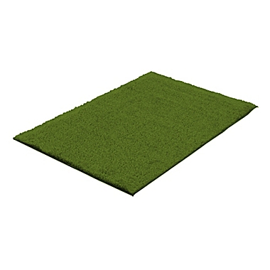 ECARPETGALLERY Grass Rug in Green. View a larger version of this product image.