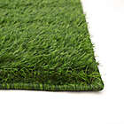Alternate image 6 for ECARPETGALLERY Grass Rug in Green