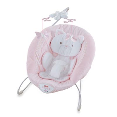 fisher price bouncer buy buy baby